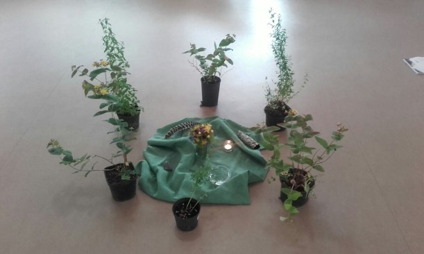 20160626_124443_resized