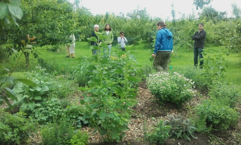 20160626_145136_resized