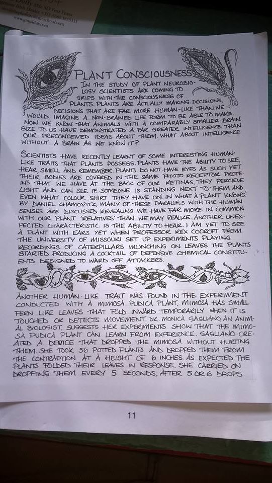 23131927_10155820858807640_7602955459804799100_n