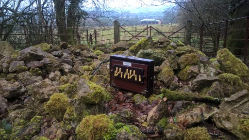 WP_20180409_16_22_31_Pro